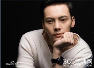 陈伟霆的资料介绍,多才多艺的影视歌星，魅力四射的偶像代表