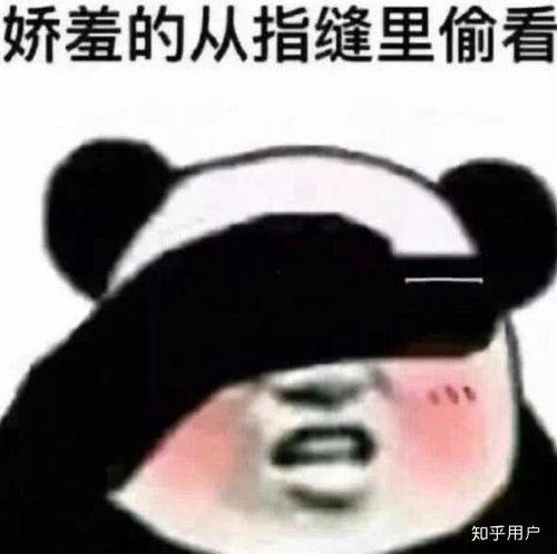 惯着你表情包,笑对生活——惯着你表情包带你领略欢乐时光